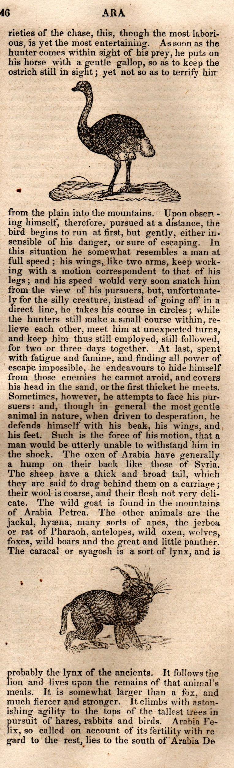 Brookes’ Universal Gazetteer (1850), Page 46 Right Column