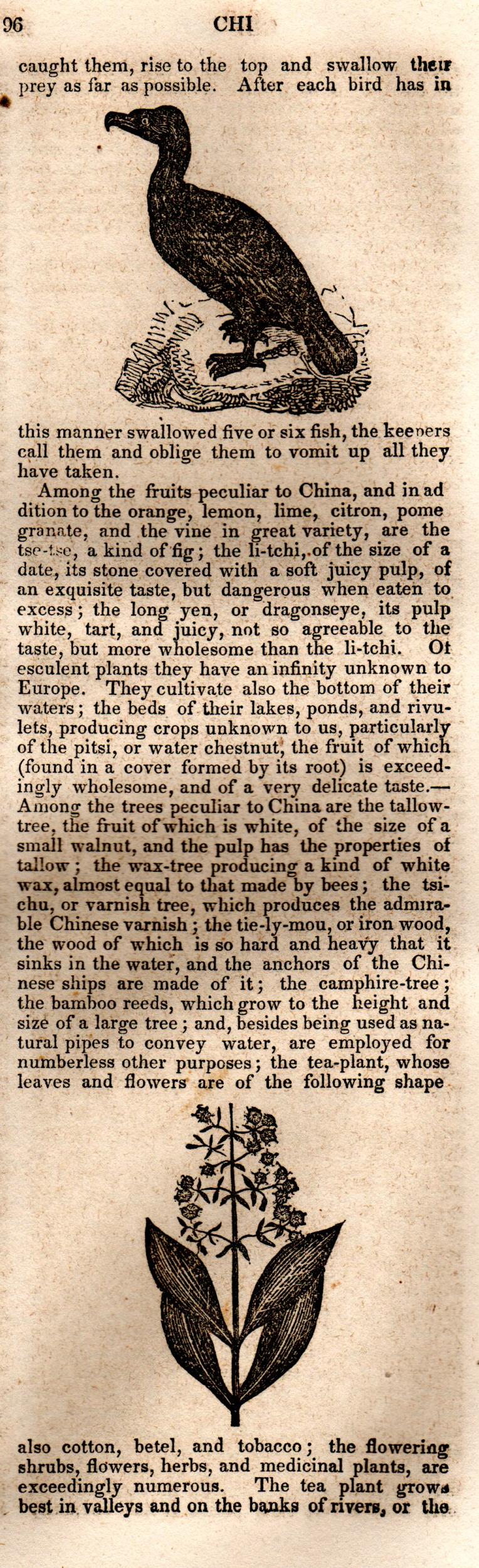Brookes’ Universal Gazetteer (1850), Page 196 Right Column