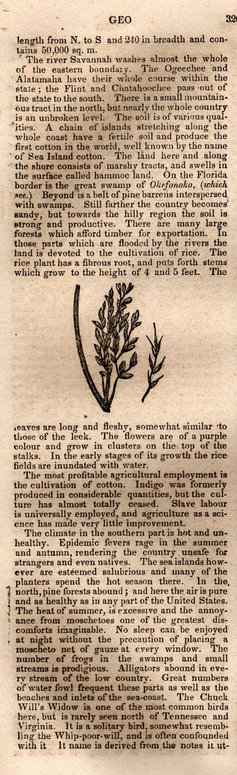 Brookes’ Universal Gazetteer (1850), Page 326 Left Column