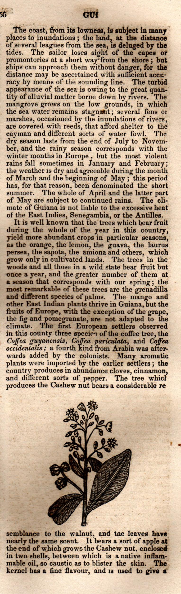 Brookes’ Universal Gazetteer (1850), Page 355 Right Column