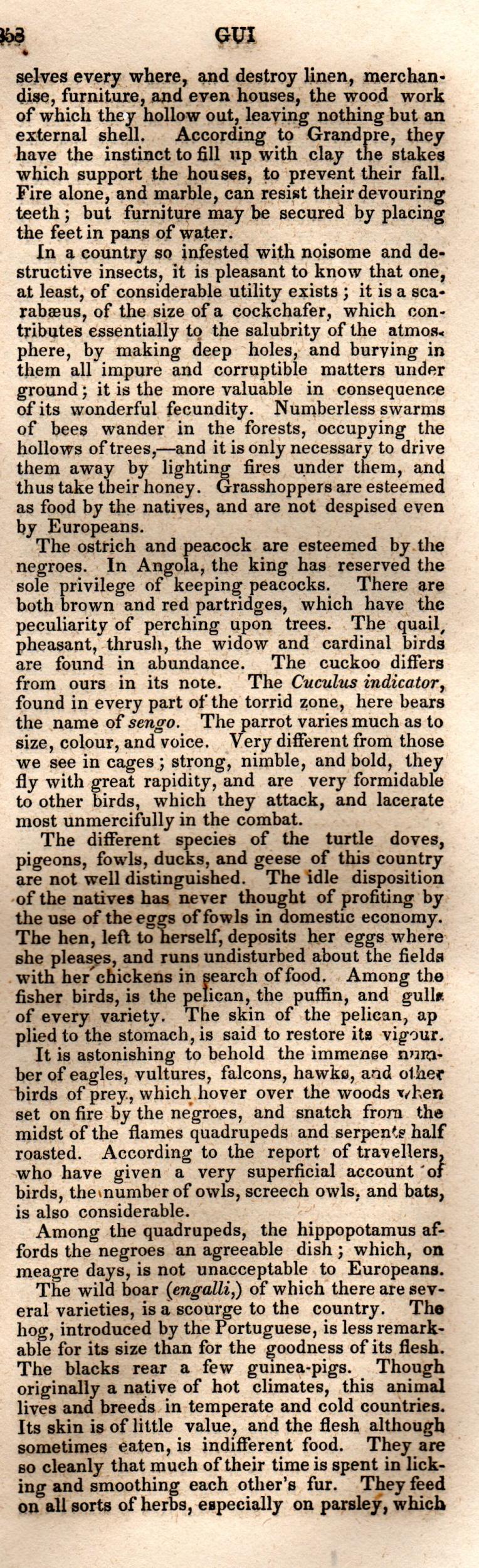 Brookes’ Universal Gazetteer (1850), Page 358 Right Column