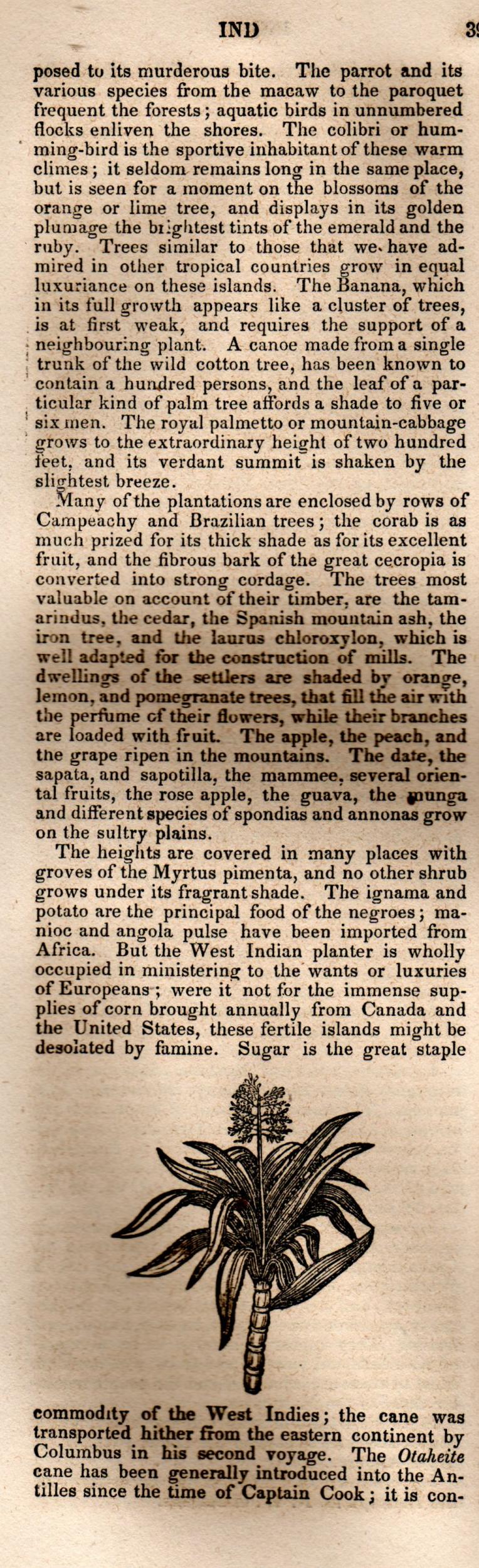 Brookes’ Universal Gazetteer (1850), Page 395 Left Column